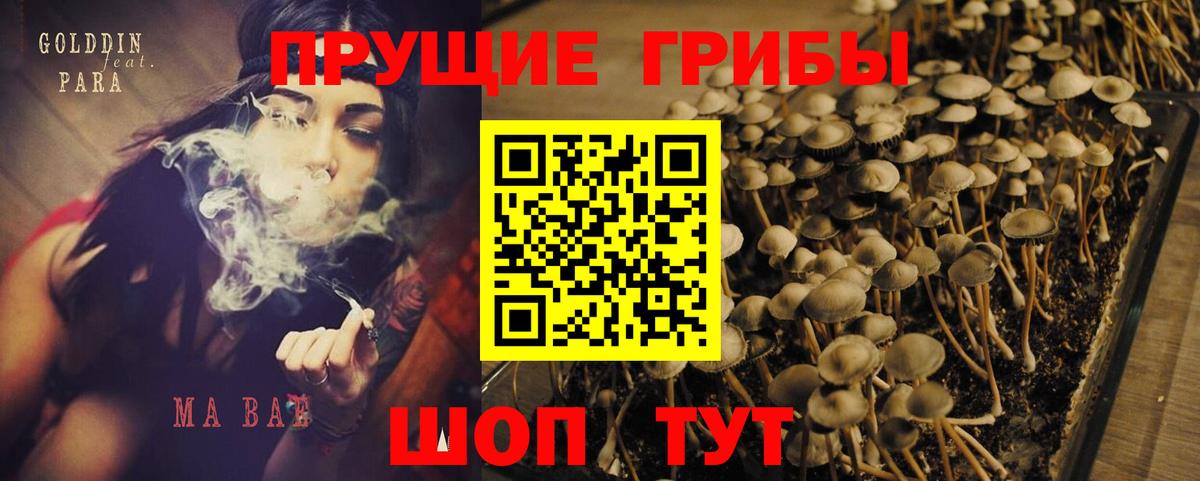 Галлюциногенные грибы мухоморы Кувандык